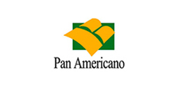 Panamericano